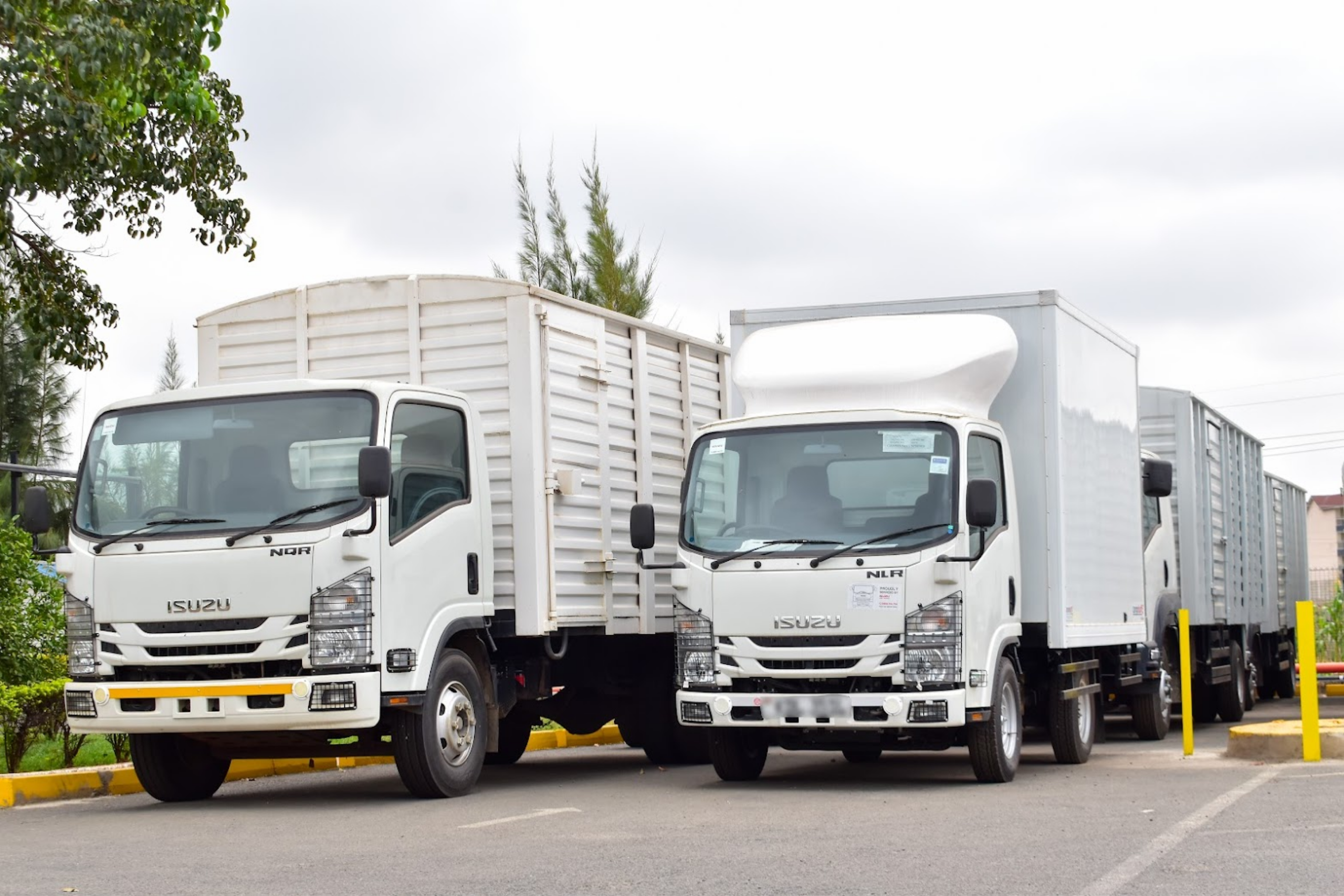isuzu n series ryce
